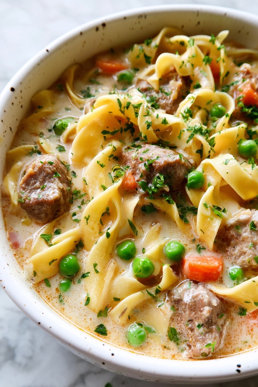 Creamy Beef Noodle Soup - Serving Suggestion